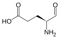 2D representation of the chemical structure of glutamate-1-semialdehyde .