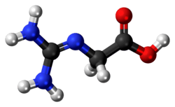 Ball and stick model of a glycocyamine minor tautomer