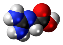 Spacefill model of a glycocyamine minor tautomer