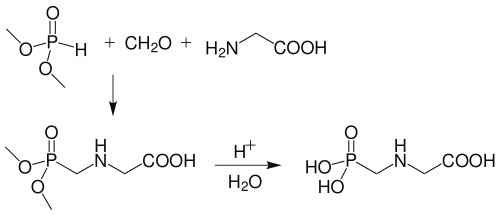 Glyphosate synthesis from dimethyl phosphite