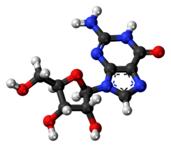 Ball-and-stick model of the guanosine molecule