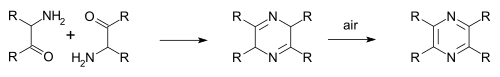 Gutknecht pyrazine synthesis
