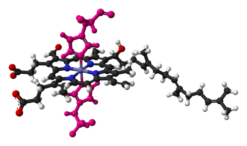 Heme a in cytochrome c oxidase, bound by two histidine residues (shown in pink)
