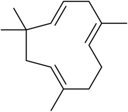 Humulene, found in hops.[5]