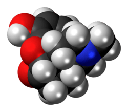 Space-filling model of hydromorphone