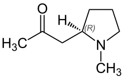 Chemical structure of hygrine