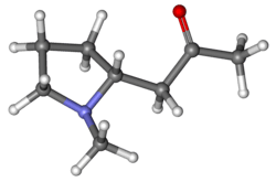 Ball-and-stick model of hygrine molecule