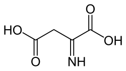 2D representation of the chemical structure of iminosuccinic acid .