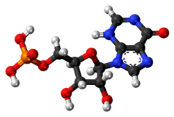 Ball-and-stick model of the inosinic acid molecule