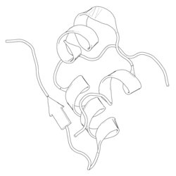 Black-and-white ribbon diagram of a pig insulin monomer.