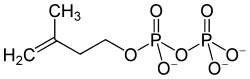 Skeletal formula of IPP