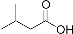Skeletal formula of 3-methylbutanoic acid