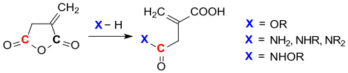 Reaktionen von Itaconsäureanhydrid mit Nukleophilen