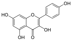 Skeletal formula of kaempferol