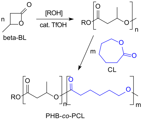 Kationische Copolymerisation von β-BL mit Caprolacton