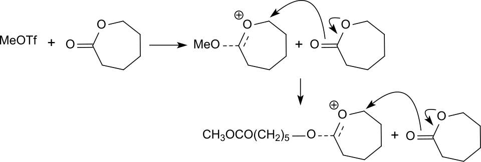 Polymerization of ε-caprolactone initiated by methyl triflate