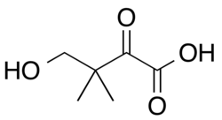 2D representation of the chemical structure of ketopantoic acid .
