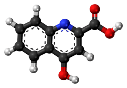 Ball-and-stick model of kynurenic acid