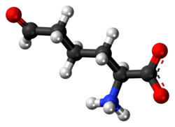 Ball-and-stick model of the L-allysine molecule as a zwitteiron