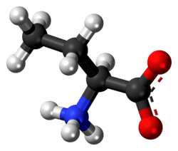Ball-and-stick model of the α-aminobutanoic acid molecule as a zwitterion