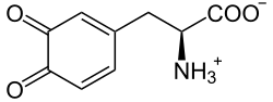 L-dopaquinone