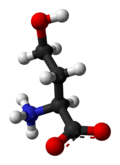 Ball-and-stick model of the zwitterion