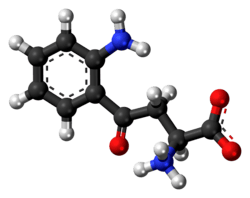 Ball-and-stick model of the L-kynurenine molecule as a zwitterion