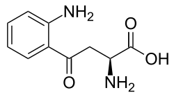 Skeletal formula of L-kynurenine