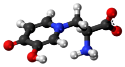 Ball-and-stick model of the L-mimosine zwitterion