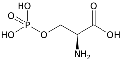 Skeletal formula