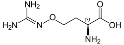 Chemical structure of L-(+)-(S)-canavanine