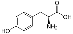 Skeletal formula of the L-isomer