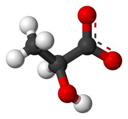 Ball-and-stick model of the lactate anion
