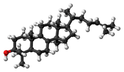 Ball-and-stick model of lanosterol