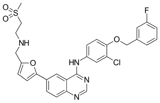 Lapatinib for treatment of advanced-stage or metastatic breast cancer.