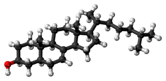 Ball-and-stick model of lathosterol