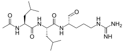 Stereo, skeletal formula of leupeptin