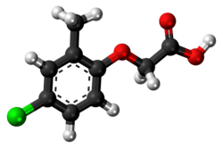 Ball-and-stick model of the MCPA molecule