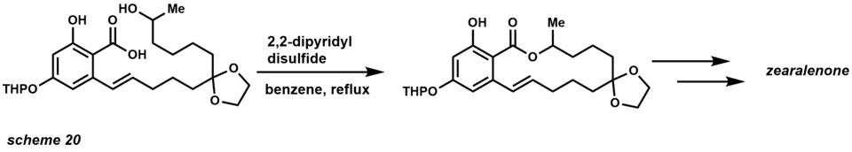 macrolactonization total synthesis example