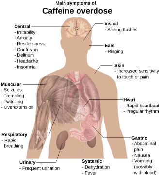 Torso of a young man with overlaid text of main side-effects of caffeine overdose.