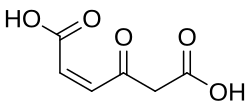 Chemical structure of 2-maleylacetic acid