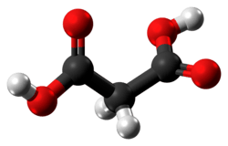 Ball-and-stick model of the malonic acid molecule