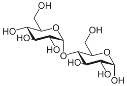 α-Maltose