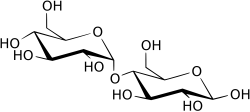 β-Maltose
