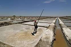 Sea-salt pans in Tamil Nadu, India