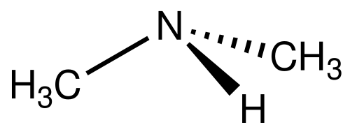 Skeletal formula of dimethylamine