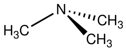Skeletal formula of trimethylamine with all implicit hydrogens shown