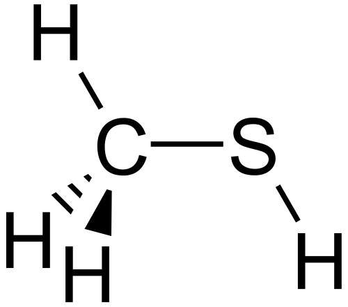 Methanethiol