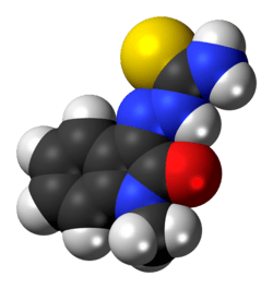 Space-filling model of the methisazone molecule