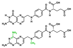 The chemical structures of folic acid and methotrexate highlighting the differences between these two substances (amidation of pyrimidone and methylation of secondary amine)